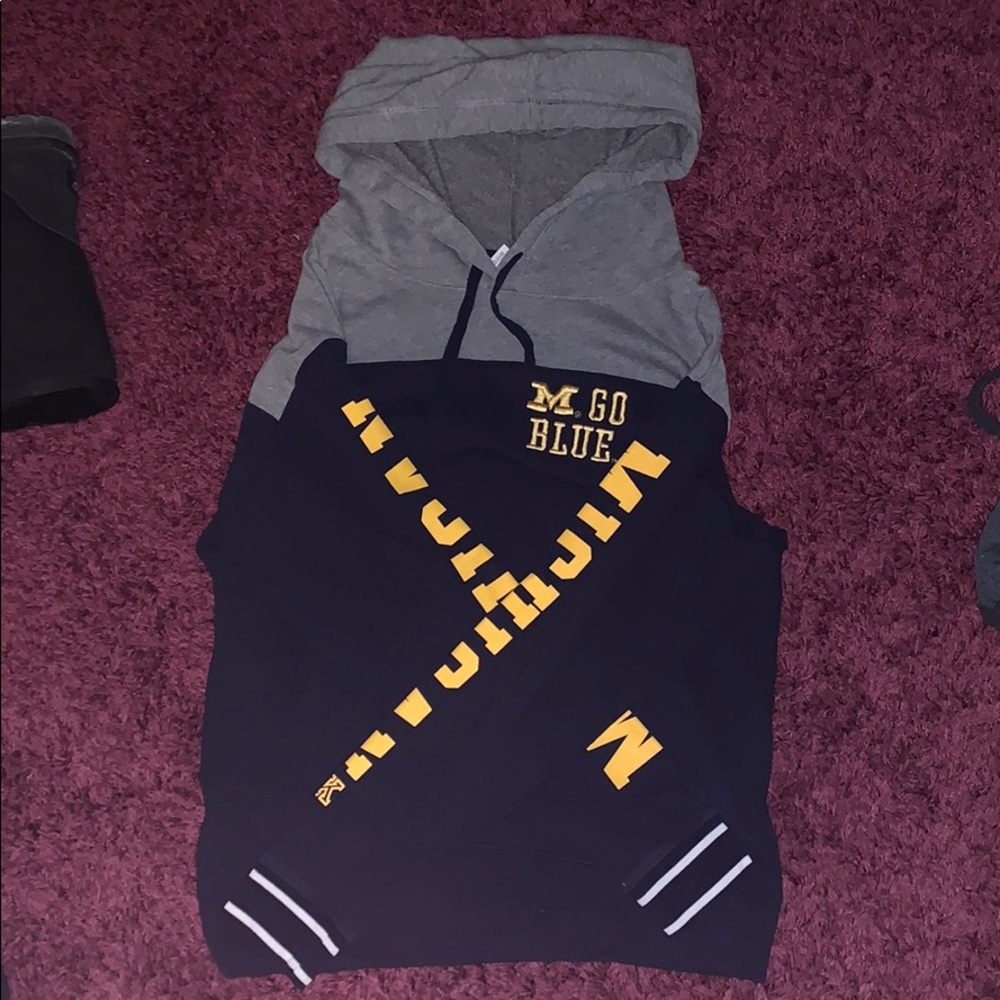 PINK Michigan Hoodie